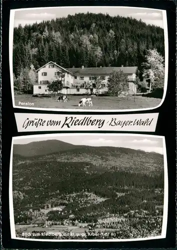 Ansichtskarte Bodenmais Pension Riedlberg 1964