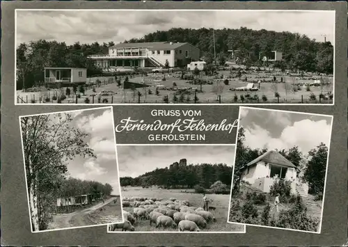 Ansichtskarte Gerolstein Ferienanlage Feriendorf Felsenhof 1966