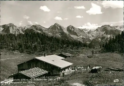 Ansichtskarte Berchtesgaden Gotzenalm (Berg, Berchtesgaden) 1964