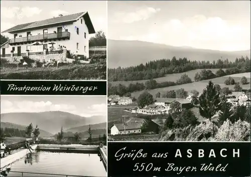 Ansichtskarte Asbach (Westerwald) Privatpension Albertr Weinberger MB 1961