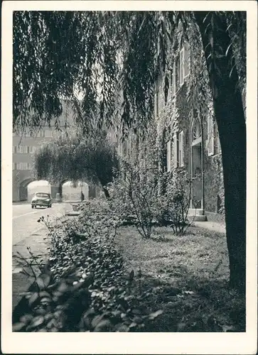 Ansichtskarte Moosach-München Hildebrandstraße Borstei 1966