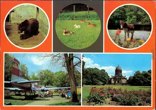 Ansichtskarte Dessau-Dessau-Roßlau Lehrpark für Tier- und Pflanzenkunde 1982
