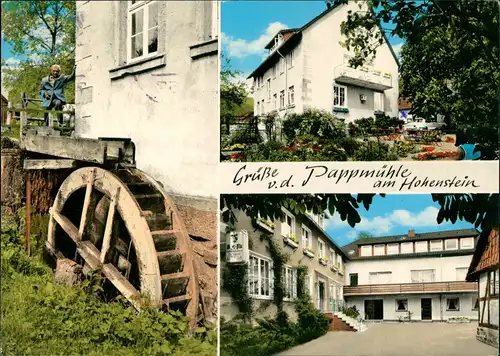 Ansichtskarte Zersen-Hessisch Oldendorf Gast- und Pensionshaus Pappmühle 1975