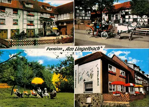 Rengshausen-Knüllwald Pension Am Lingelbach 4 Ansichten ua. Pferde-Kutsche 1975