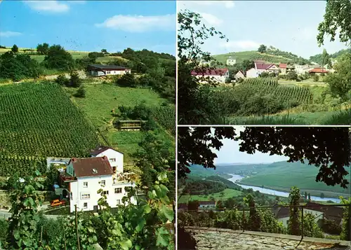 Ansichtskarte Rehlingen Stadtansichten, Weinberge 3 Bild 1964