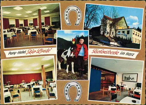 Riefensbeek-Kamschlacken-Osterode (Harz) Harzer Pferde-Paradies Pony-Hotel 1970