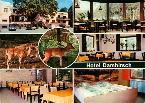 Neustadt am Rübenberge Hotel Damhirsch Restaurant Bes. Kempf, Innen & Außen 1970