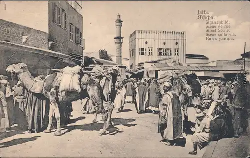 Tel Aviv-Jaffa תל אביב-יפו Tel Aviv-Jafo Straßenbild  - Kamele 1913 