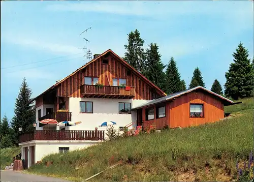 Hinterhäuser-Schluchsee Café u. Pension Alpenblick G. Gremmelspacher 1970