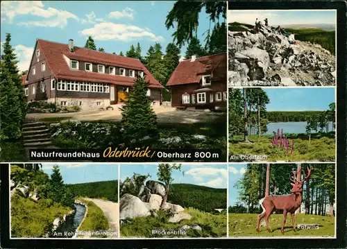 Ansichtskarte Oderbrück-Braunlage Naturfeundehaus MB 1972