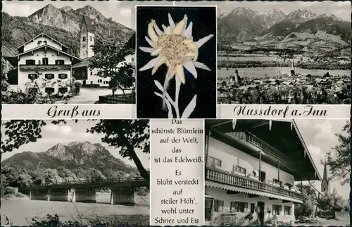 Ansichtskarte Nußdorf am Inn MB: Stadt, Edelwiß, Brücke, Gasthaus 1969