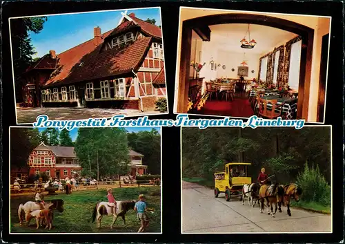 Lüneburg Pony-Trakehner-Gestüt Forsthaus Tiergarten 4 Ansichten 1972