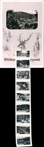 Ansichtskarte Bad Wildbad Hirsch - Stadtansichten 1963 Leporello