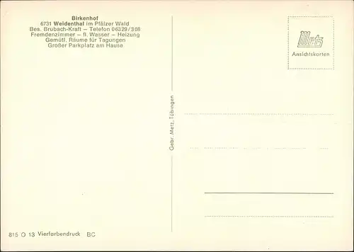 Weidenthal Birkenhof Weidenthal Pfälzer Wald Außen & Innenansichten 1970