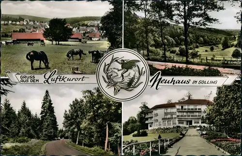 Neuhaus im Solling-Holzminden 4 Bild. Stadtansichten - colorierte Fotokarte 1963