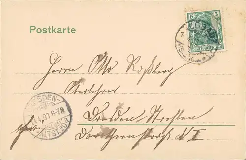 Ansichtskarte Löbau Zittauer Straße 1903