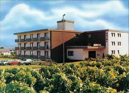 Ansichtskarte Eltville am Rhein Hotel garni Sonnenberg - Autos 1980