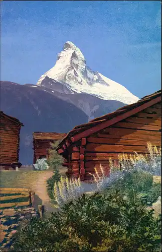 Alpengarten Im Hintergrunde: Artemisia absinthium. Gehe & Co.,   Dresden-N 1911