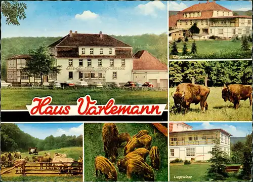 Hardehausen Gast- und Pensionshaus H. VARLEMANN bei Scherfede Westfalen 1969