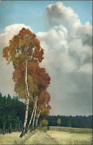 Ansichtskarte Langebrück-Dresden Hofewiese - Birken 1915