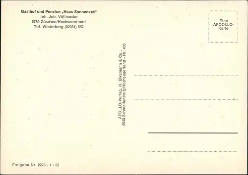 Züschen-Winterberg Gasthof Pension Haus Sonneneck Inh.   Luftaufnahme 1960