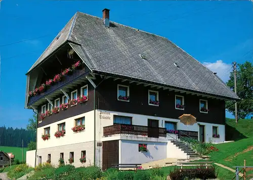 Titisee-Neustadt Pension Ferienheim „Träuble" Fam. Fritz Winterhalder 1995
