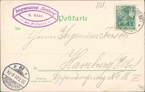 Litho AK Schönfeld - Weißig-Dresden Gasthaus Borsberg Gruss vom.. 1901