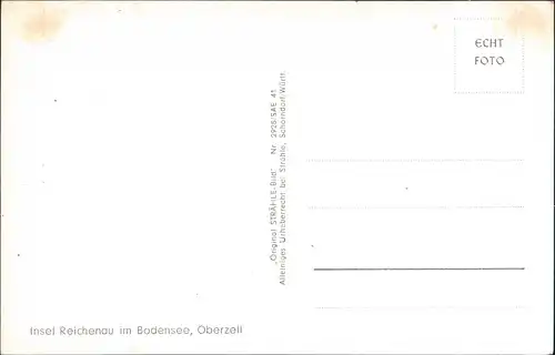 Ansichtskarte Reichenau (Bodensee) Luftbild 1934