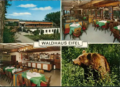 Kobern-Gondorf Gaststätte Gasthaus Waldhaus Eifel Innen & Außen mit Bär 1974