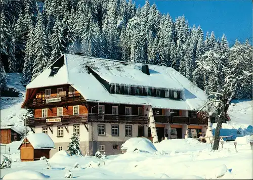 Schluchsee Hotel Blasiwälder Hof Bes.: Fam. Winterhalder OT Blasiwald 1980