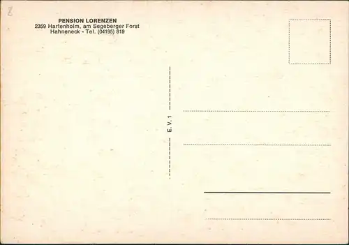 Ansichtskarte Hartenholm Segeberger Forst Hahneneck Pension LORENZEN 1960