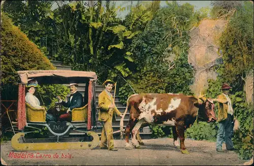 Postcard Funchal Carro de Bois - Ochsenkarren 1907