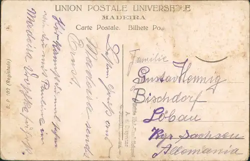 Postcard Funchal Carro de Bois - Ochsenkarren 1907