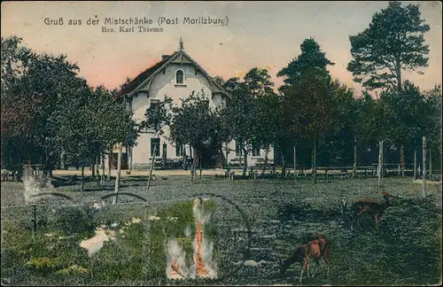 Ansichtskarte Moritzburg Waldgaststätte "Mistschänke" 1903
