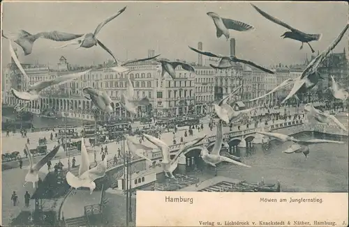 Ansichtskarte Hamburg Möwen am Jungfernstieg 1908