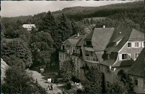 Ansichtskarte Hinterzarten Hotel Adler - Seit 1446 im Familienbesitz 1962