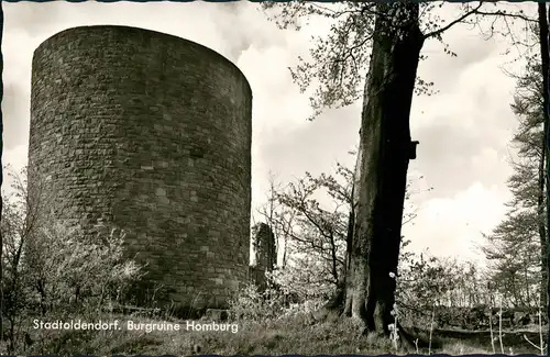 Ansichtskarte Stadtoldendorf Burg Burgruine Homburg 1966