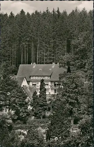 Ansichtskarte Neuhaus im Solling-Holzminden Chalet Haus Mairose, Solling 1960