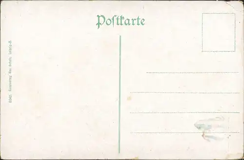 Ansichtskarte Zittau Straßenblick Stadt 1912