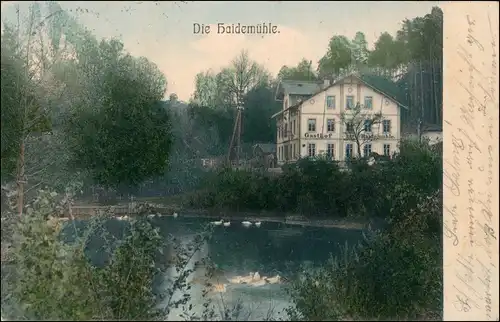 Ansichtskarte Langebrück-Dresden Gasthaus Haidemühle coloriert 1907