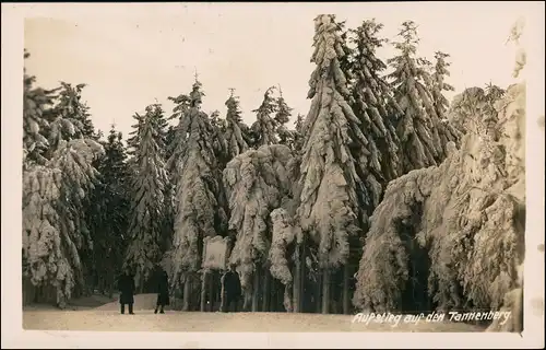 Tannendorf-Sankt Georgenthal Jedlová  Tannenberg aufstieg Winter 1932 P-foto