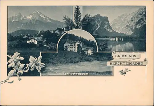 Ansichtskarte Berchtesgaden 3 Bild Edelweiss Schwabenhaus 1900