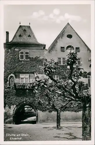 Ansichtskarte Eltville am Rhein blühende Bäume am Eltzerhof 1955