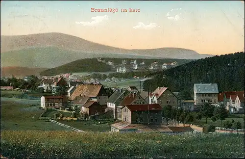 Ansichtskarte Braunlage Höfe an der Stadt 1909