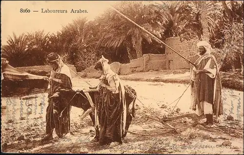 Ansichtskarte  Beduinen Frauen arabes Typen Arabien 1914