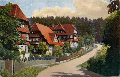 Ansichtskarte Braunlage Künstlerkarte Ramsenweg 1925