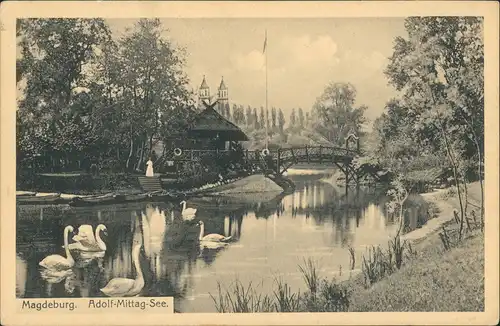 Ansichtskarte Werder-Magdeburg Adolf-Mittag-See, Fährhaus, Schwäne 1910