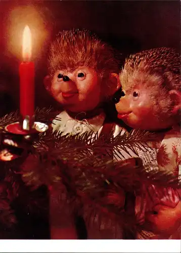 Ansichtskarte  Mecki (Diehl-Film): Weihnachtsbaum Kerze bestaunen 1975