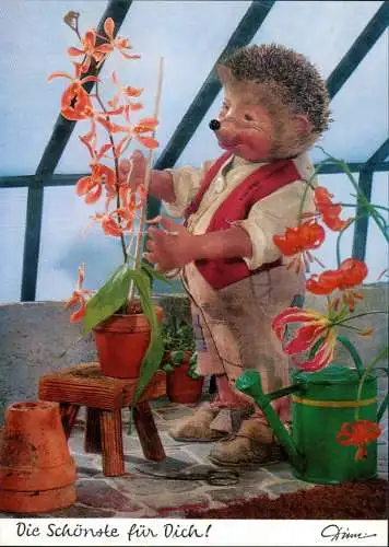 Mecki (Diehl-Film) "Die Schönste für Dich" Gärtner Blumen Orchideen 1975