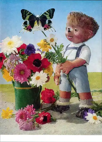 Ansichtskarte  Mecki (Diehl-Film): Blumenstrauß mit Schmetterling 1970